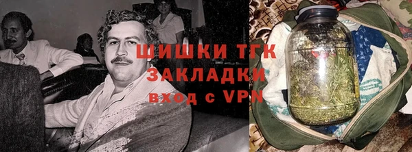 тгк Новодвинск