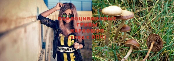тгк Новодвинск