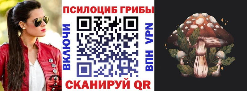 Псилоцибиновые грибы ЛСД  как найти   Туринск 